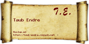 Taub Endre névjegykártya